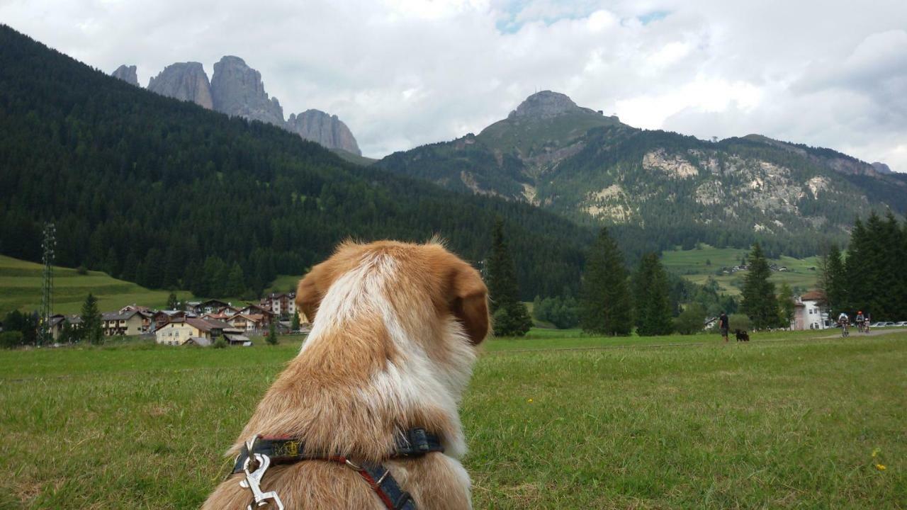 Casamau Trilo Daire Campitello di Fassa Dış mekan fotoğraf