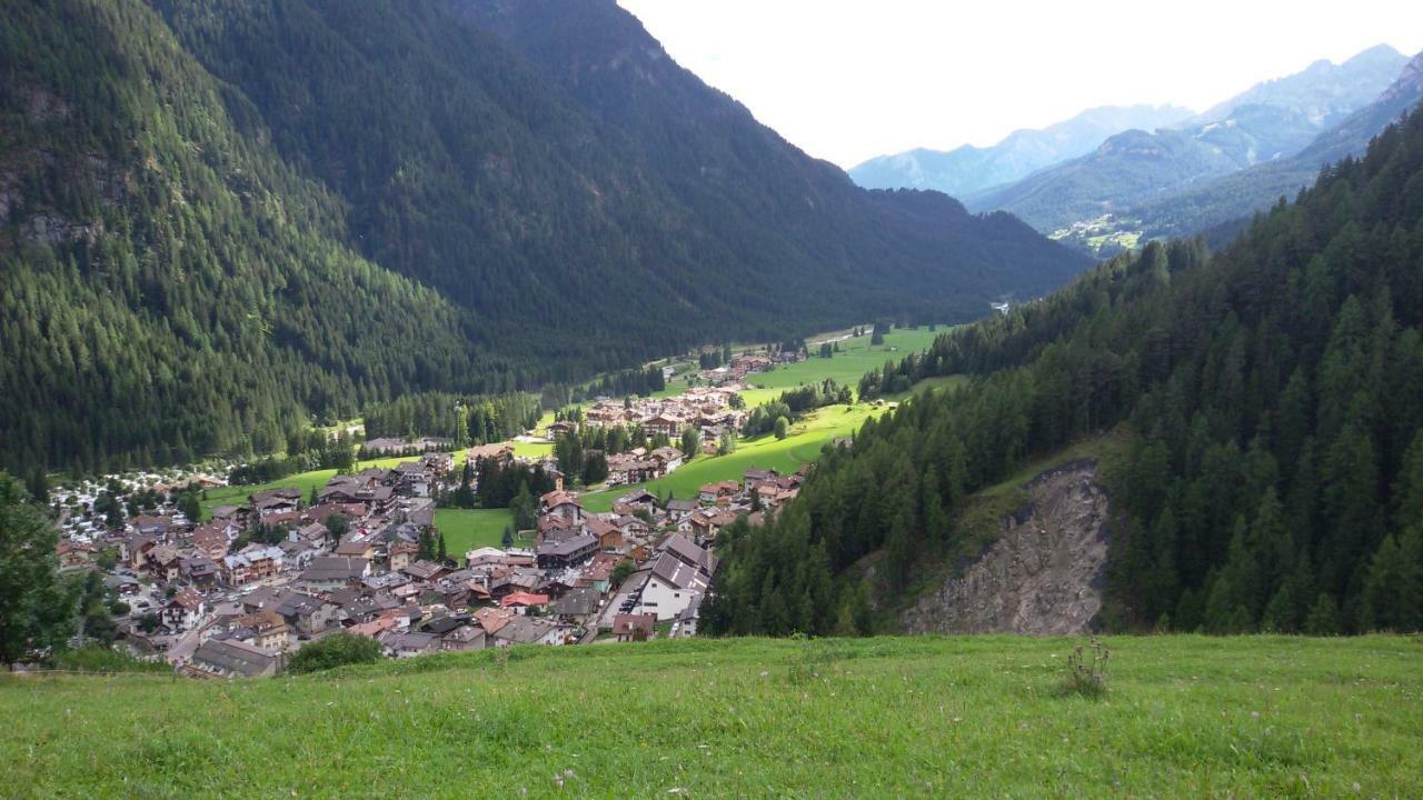 Casamau Trilo Daire Campitello di Fassa Dış mekan fotoğraf